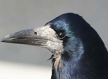 Shiplake Mountain Farmhouse Dunmanway