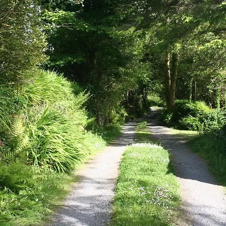 Shiplake Mountain Farmhouse Dunmanway