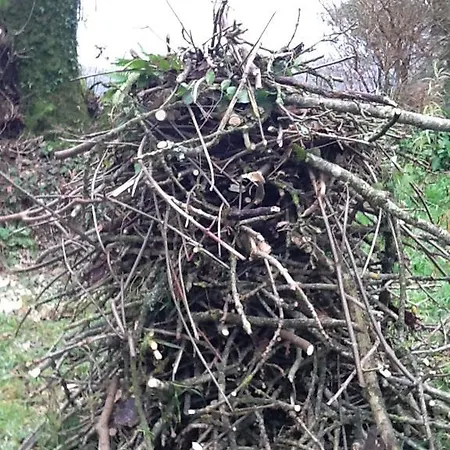 Σπίτι διακοπών Shiplake Mountain Farmhouse Dunmanway