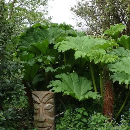 Shiplake Mountain Farmhouse Dunmanway